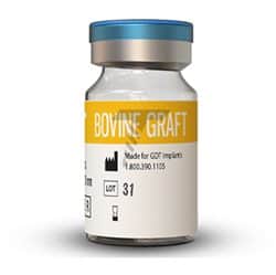 BOVINE BONE GRAFT - Cones