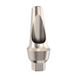 ANATOMIC ANGULATED ABUTMENT 25°